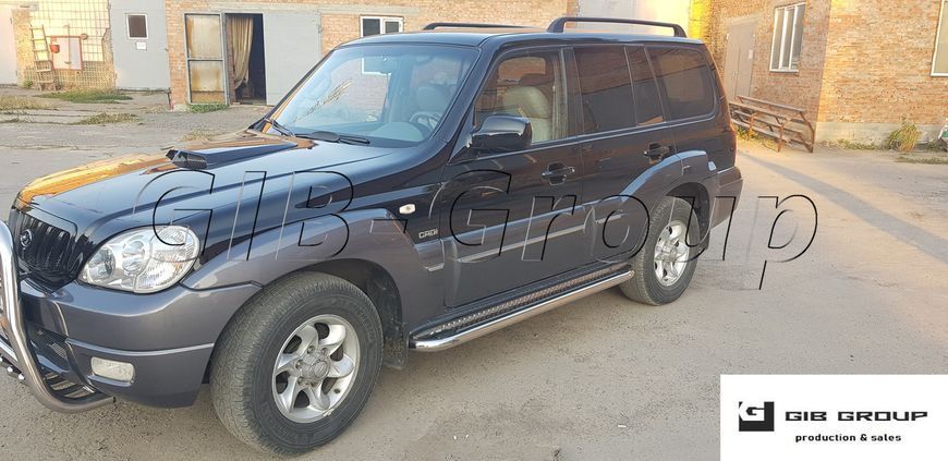 Пороги бічні труба з листом Hyundai Terracan (2001-2007) D60 Silver 1647691542 фото